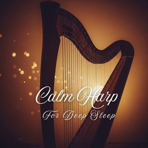 Peace Bloom Harp Night