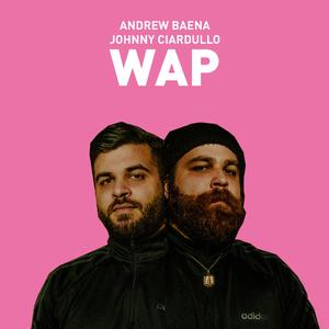 WAP (feat. Johnny Ciardullo)