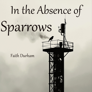 In the Absence of Sparrows (Soft Version)