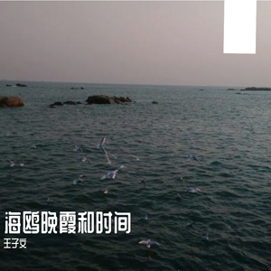 海鸥晚霞和时间