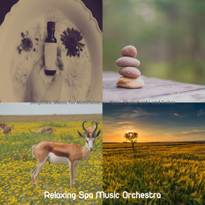 Unique Backdrops for Reduing Anxiety