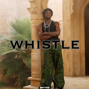 Free Chill Afro type beat “Whistle”