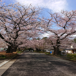 Rain (feat. 初音ミク)