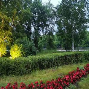 袁隆平我们的骄傲