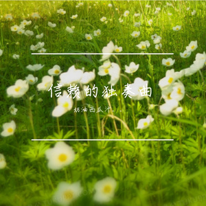 信赖的独奏曲