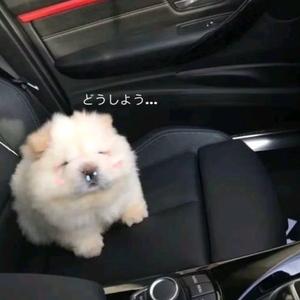 30个高频英语复试问题