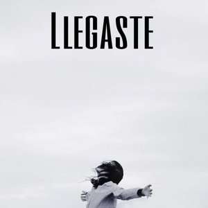 Llegaste