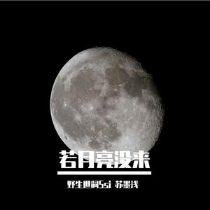 若月亮还没来（双男生合唱版）