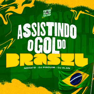 Assistindo o Gol do Brasil