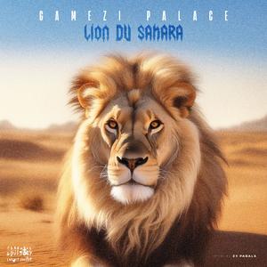 Lion du Sahara