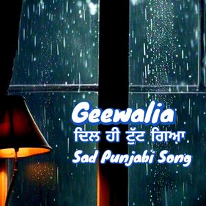 ਦਿਲ ਹੀ ਟੁੱਟ ਗਿਆ