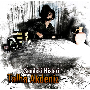 Sendeki Hisleri