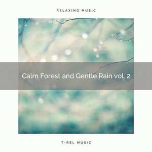 Allow Clear Rain Forest Sounds Music to Bring You to Sleep