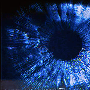 Oscillations (Single Edit)