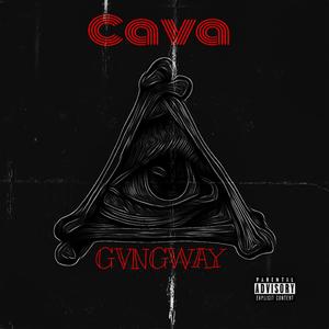 CAVA