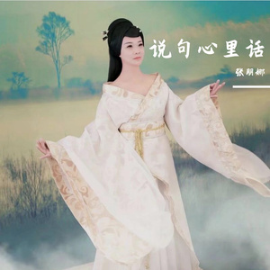 说句心里话 伴奏