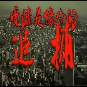 爱情是缘分的追捕
