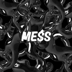 Mess