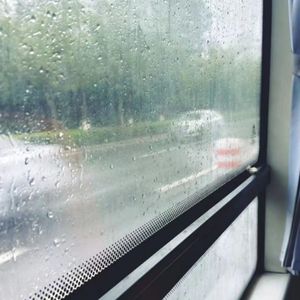 Rainy Friday