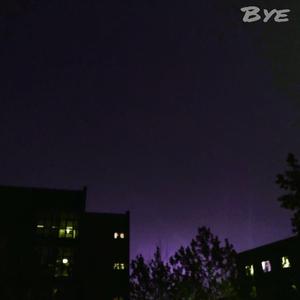 Bye（翻自 matador）
