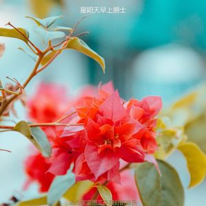 适合在家里工作奇妙的音乐