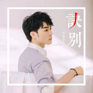 诀别 (DJ沈念版)