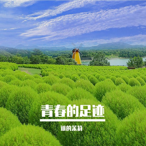 思念的迷雾