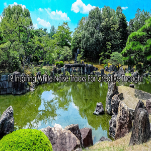 噪音中的一些平靜