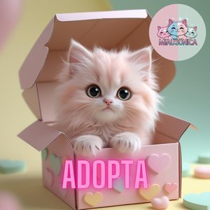 Miau en mi corazón