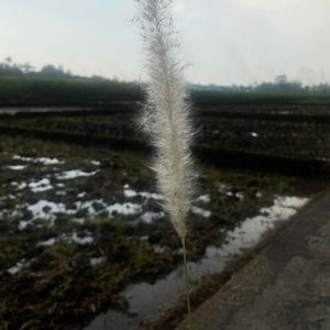 Bersantai di Sore Hari