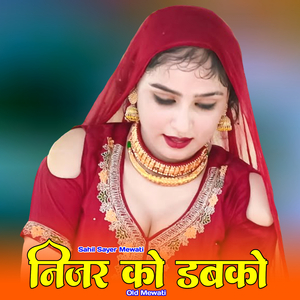 निजर को डबको ओल्ड मेवाती