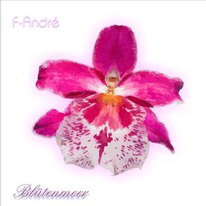Blütenmeer (Soft Mix)