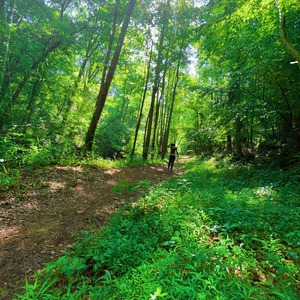 #Visions (feat. Kari Kira)