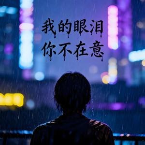 我的眼泪你不在意
