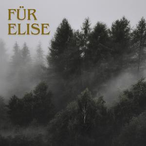 Für Elise
