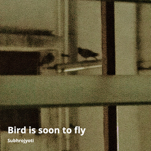 Bird Is Soon to Fly