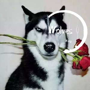 Selena Gomez-Wolves (Veng Bootleg)（Veng remix）