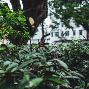 太空中遨游 (八音盒)