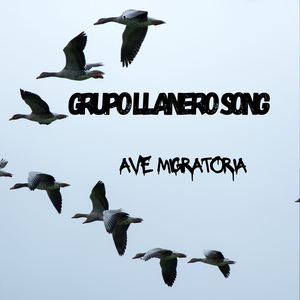 Ave Migratoria