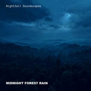 Midnight Forest Rain