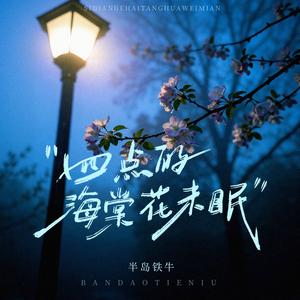 四点的海棠花未眠