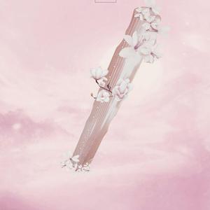 【词】渡我【剧情版】