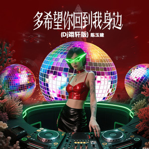 多希望你回到我身边 (Dj翊轩版)
