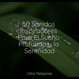 Conciencia