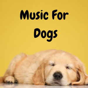 Pooch's Playlist