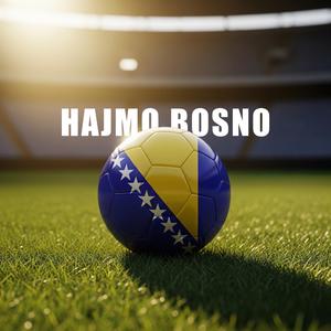 Hajmo Bosno