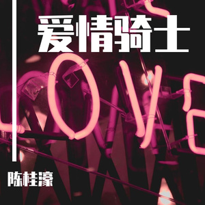 爱情骑士