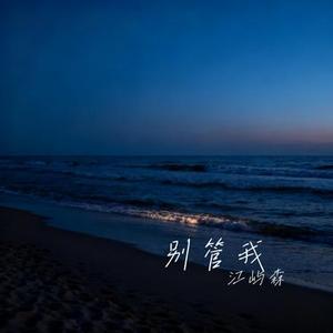 别管我 (烟嗓版)