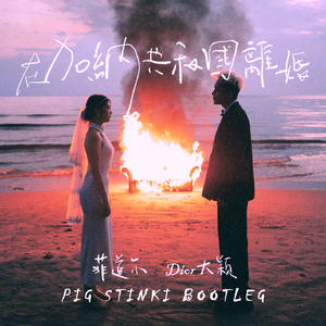 在加纳共和国离婚(Pig Stinki Bootleg)