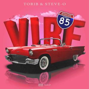 VIBE (feat. Steve-o)